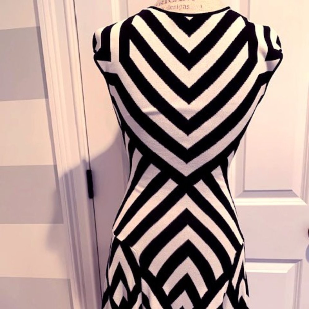 RVN Graphic Stripe Flare Dress